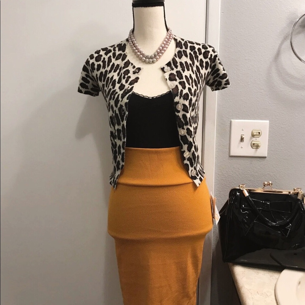 Beautiful pencil skirt